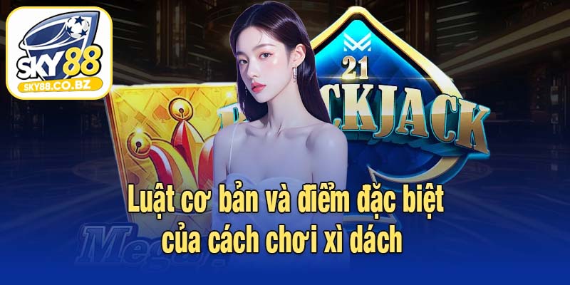 Luật cơ bản và điểm đặc biệt của cách chơi xì dách 